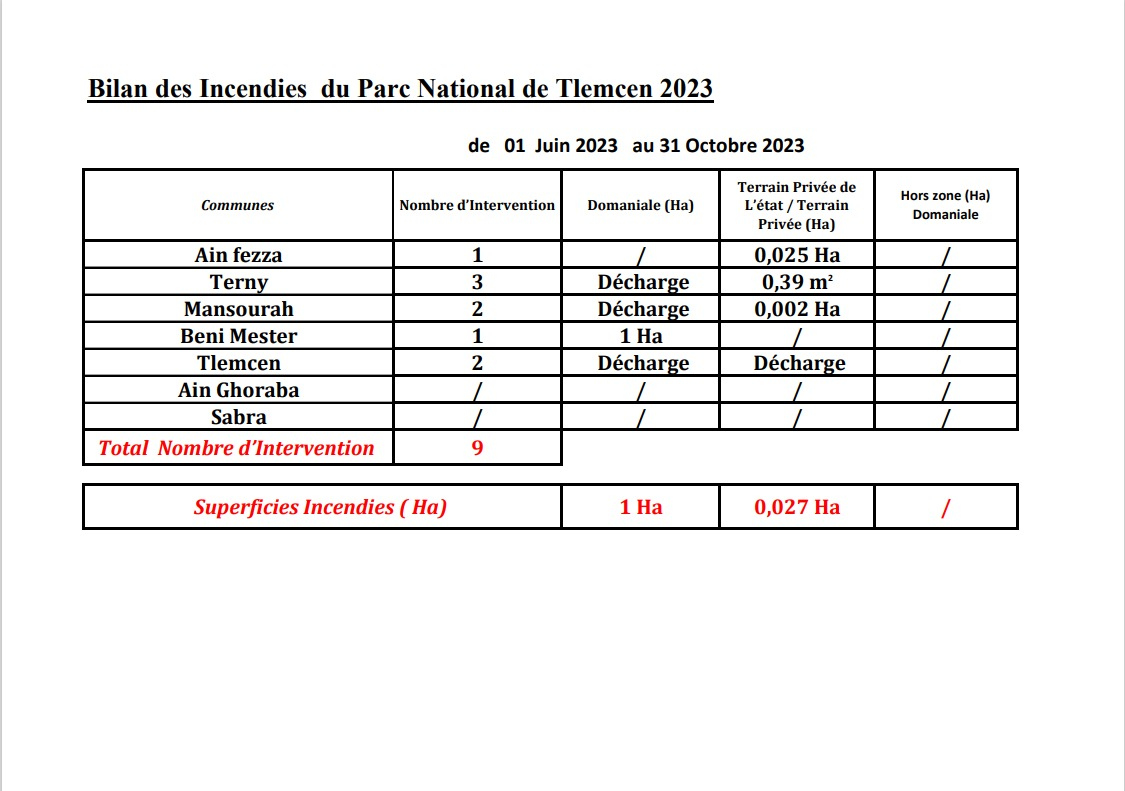 Bilan des incendies 2023